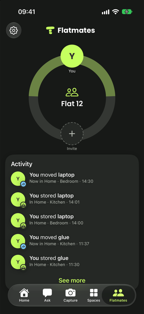 Flatmates: the household and its activity